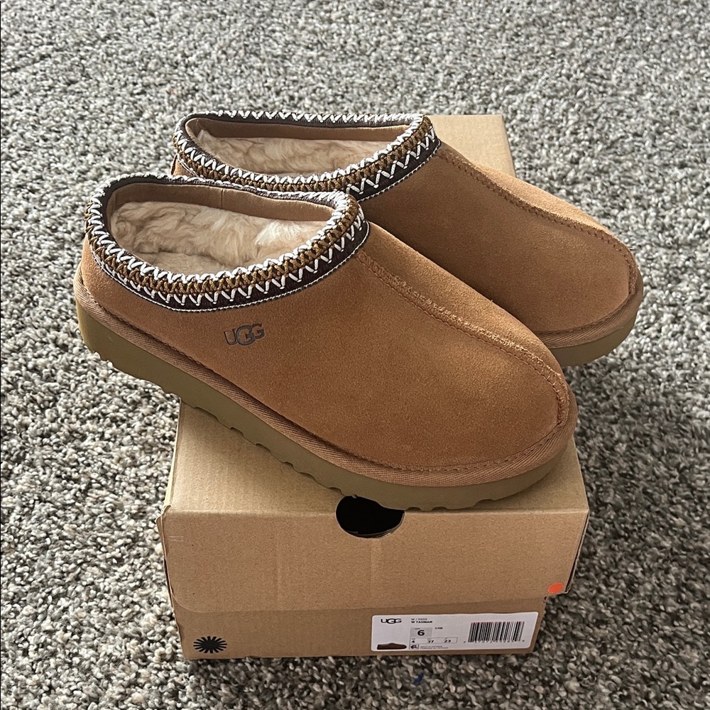 UGG Chestnut TASMAN (woman)